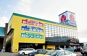 ヤマダ電機